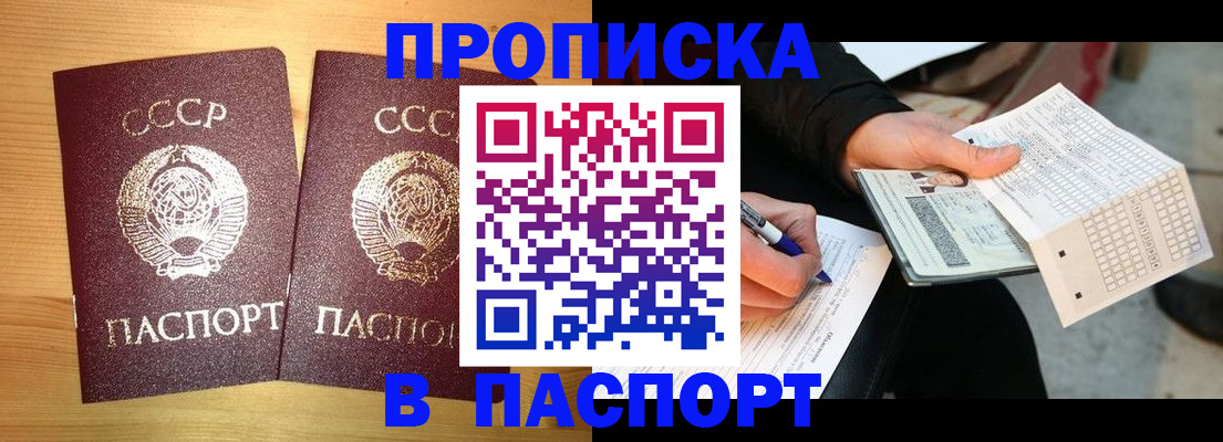 временная регистрация в Почепе